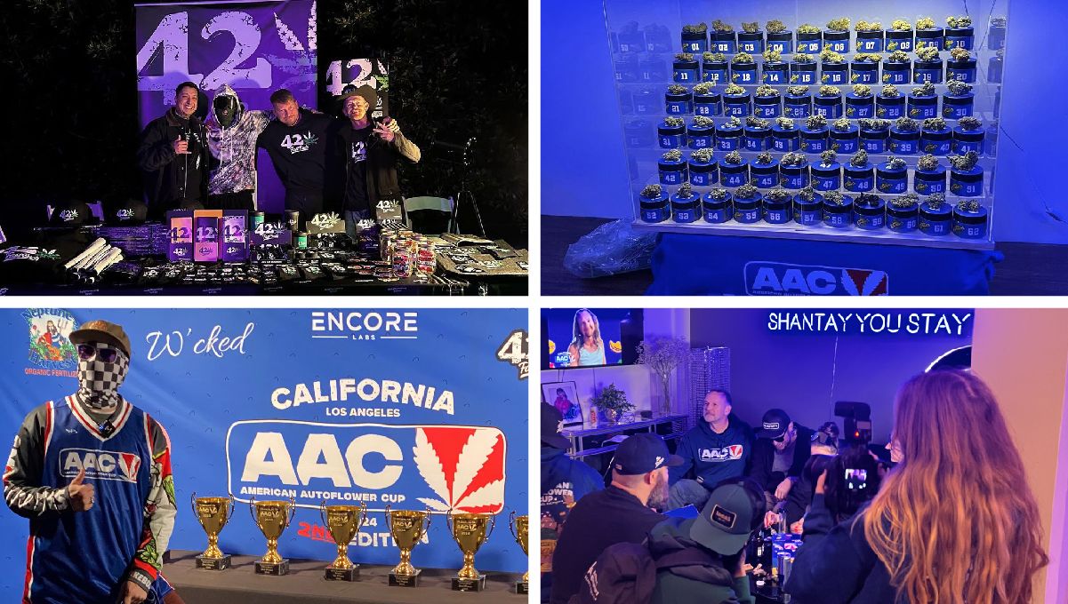 Ztrawberriez Auto and Banana Purple Punch Auto Win The American Auto Cup 2024!
