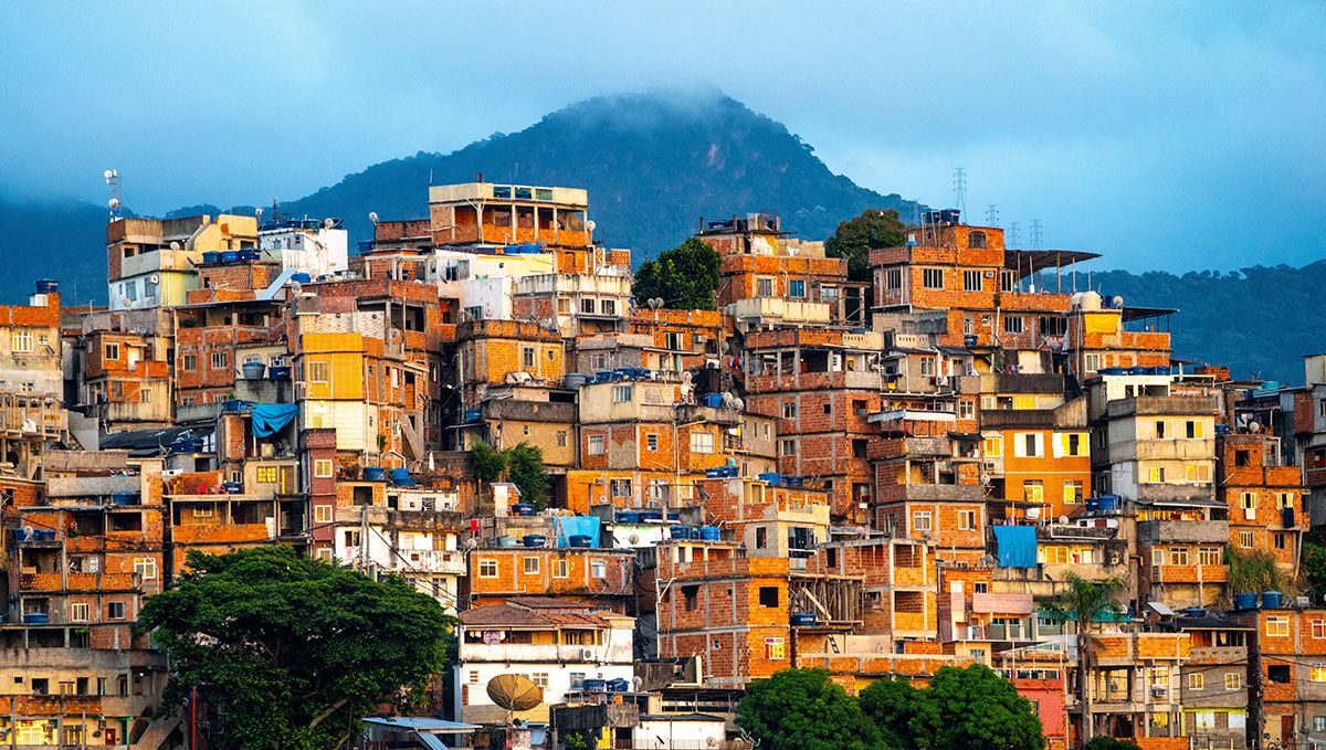 Plants in Brazil: Plants Legal Status Guide: Favelas with a mountain in the background