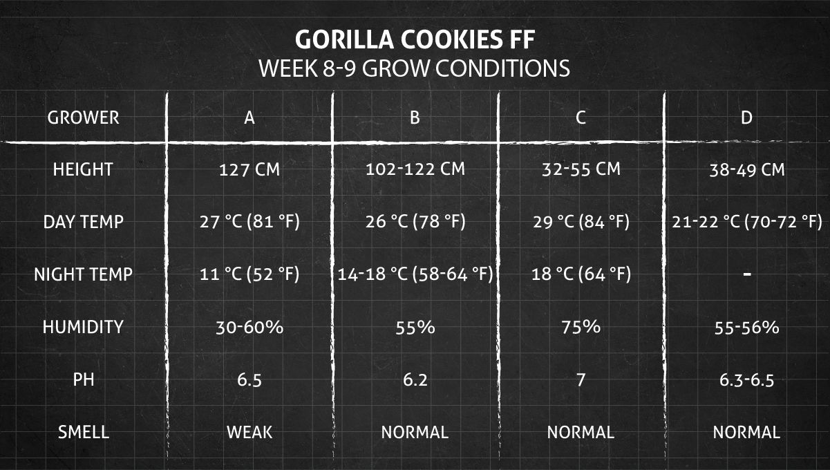 Gorilla Cookies FF cannabis strain: weeks 8-9 grow conditions