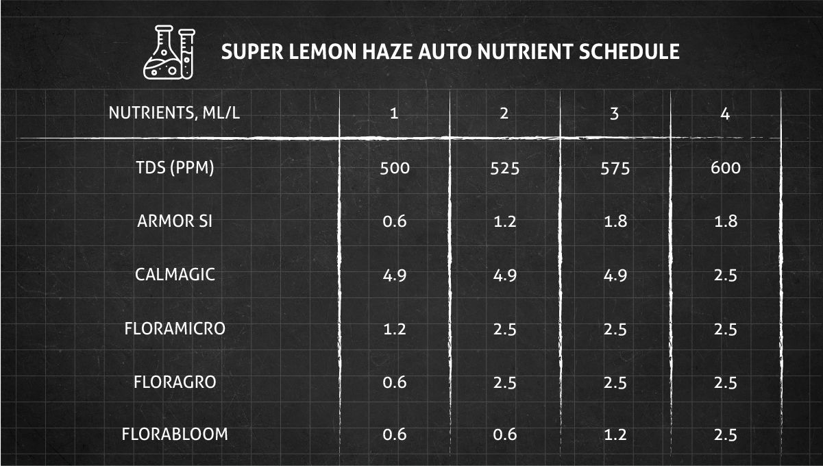 Super Lemon Haze Auto cannabis strain: feeding chart for the vegetative stage