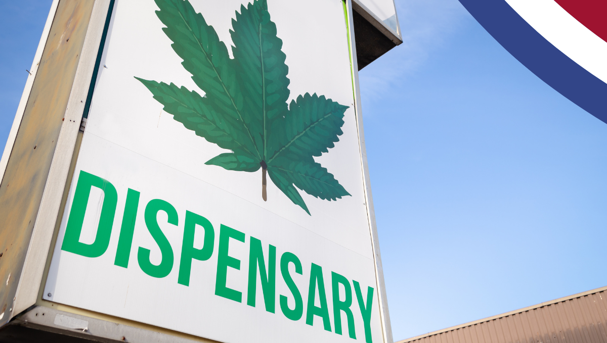 Rotterdam, Holland, Will Allow Plants Cafes and Dispensaries: Describe what's on the photo for blind readers