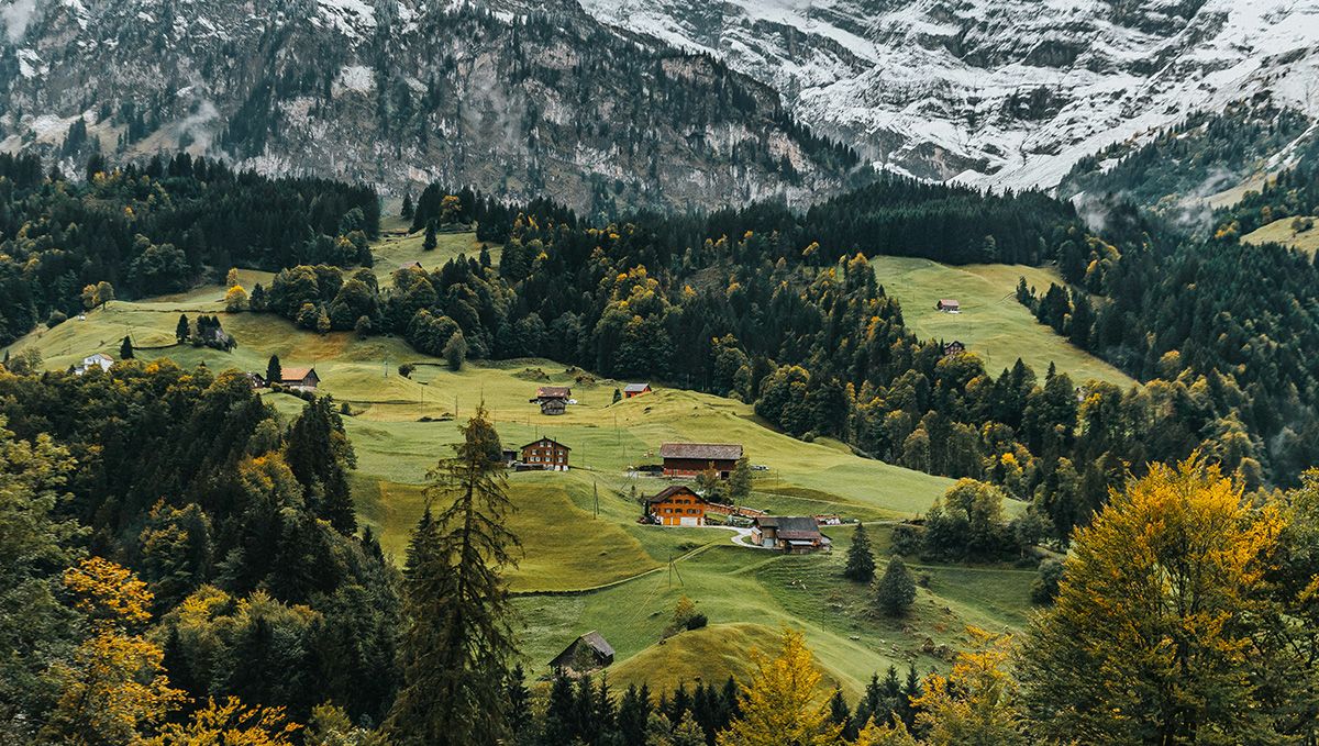 South-facing hill slopes in Switzerland ideal for plants cultivation.