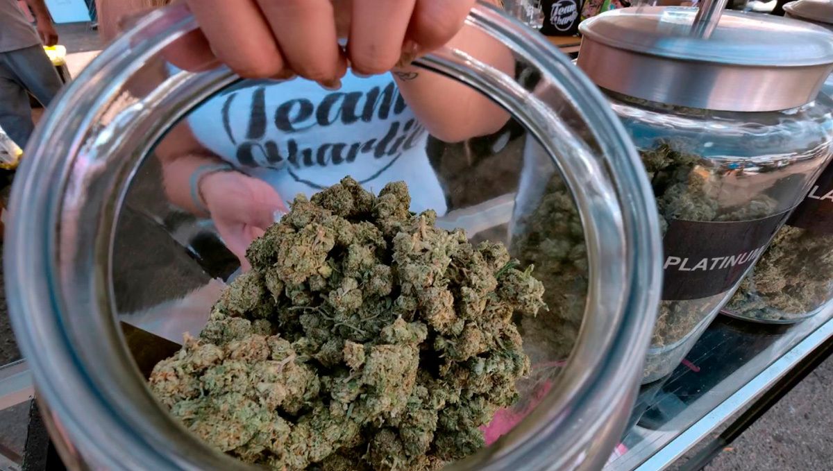 Curing your plants return