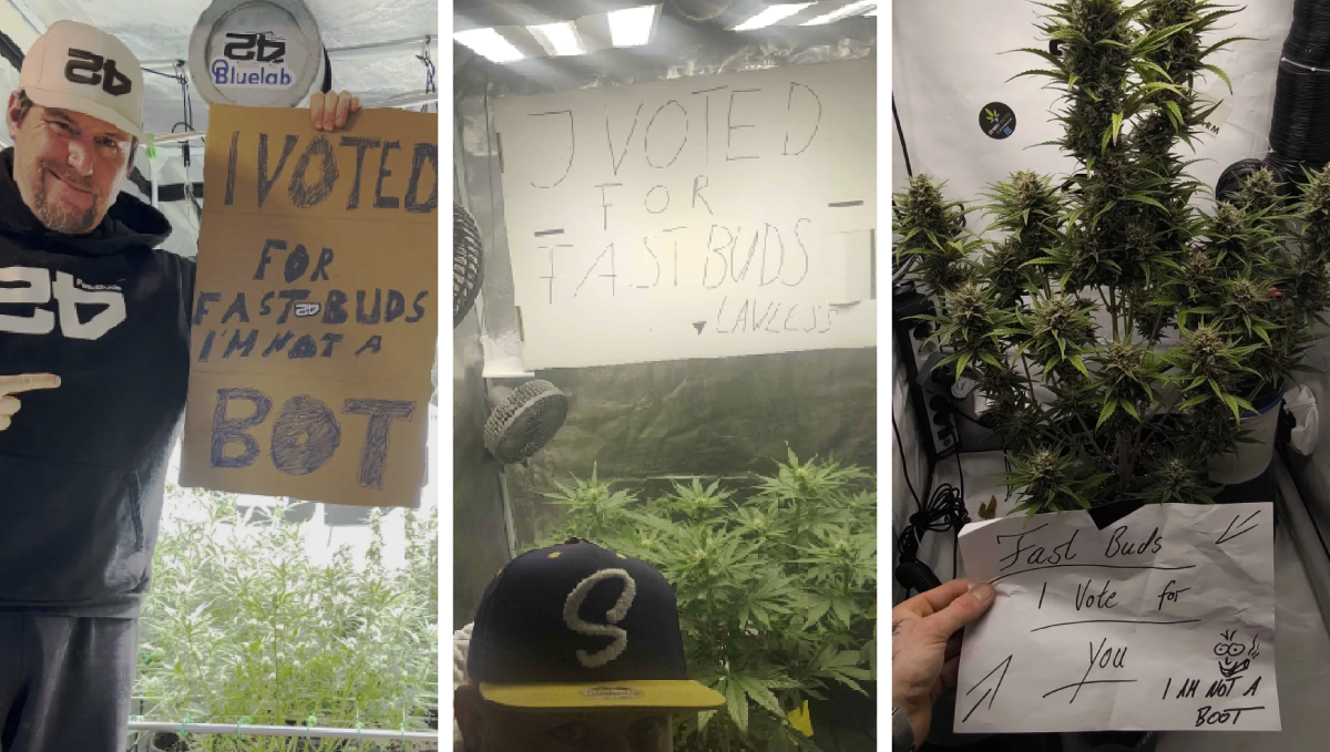 A graphic featuring the phrase Growmies, not bots emphasizing community in cannabis growing.