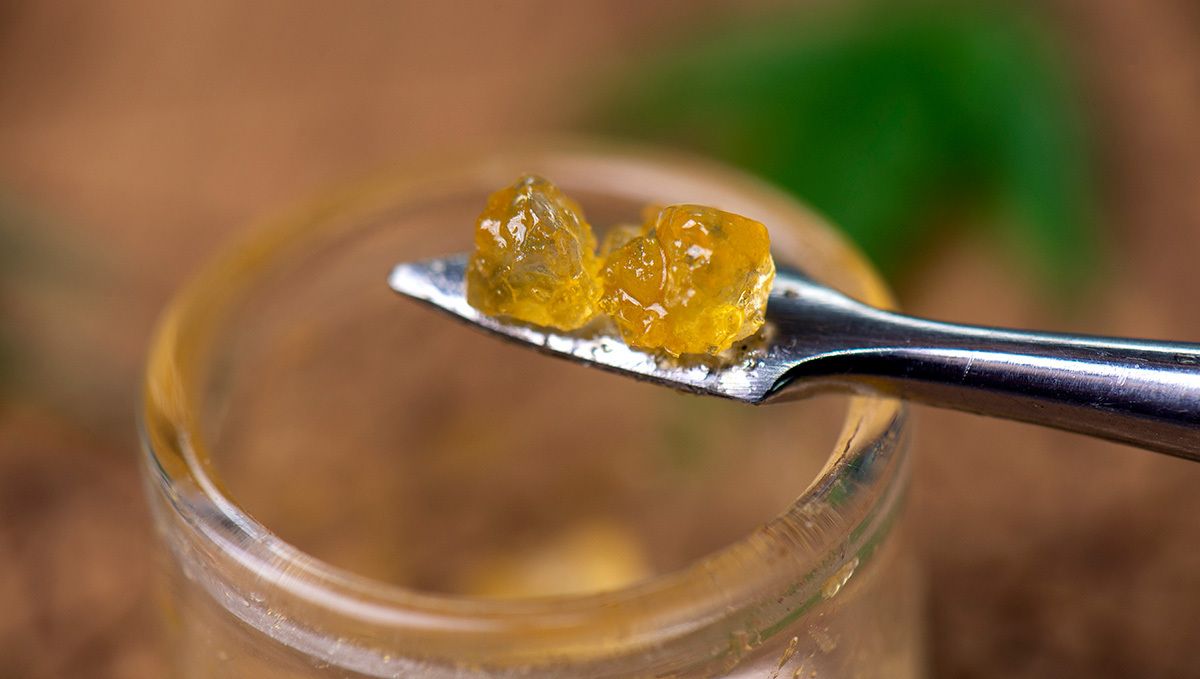 Hvor Meget Er Et Halvt Ounce Hash? Den Komplette Prisguide: To stykker cannabis-wax på et metal dab-værktøj