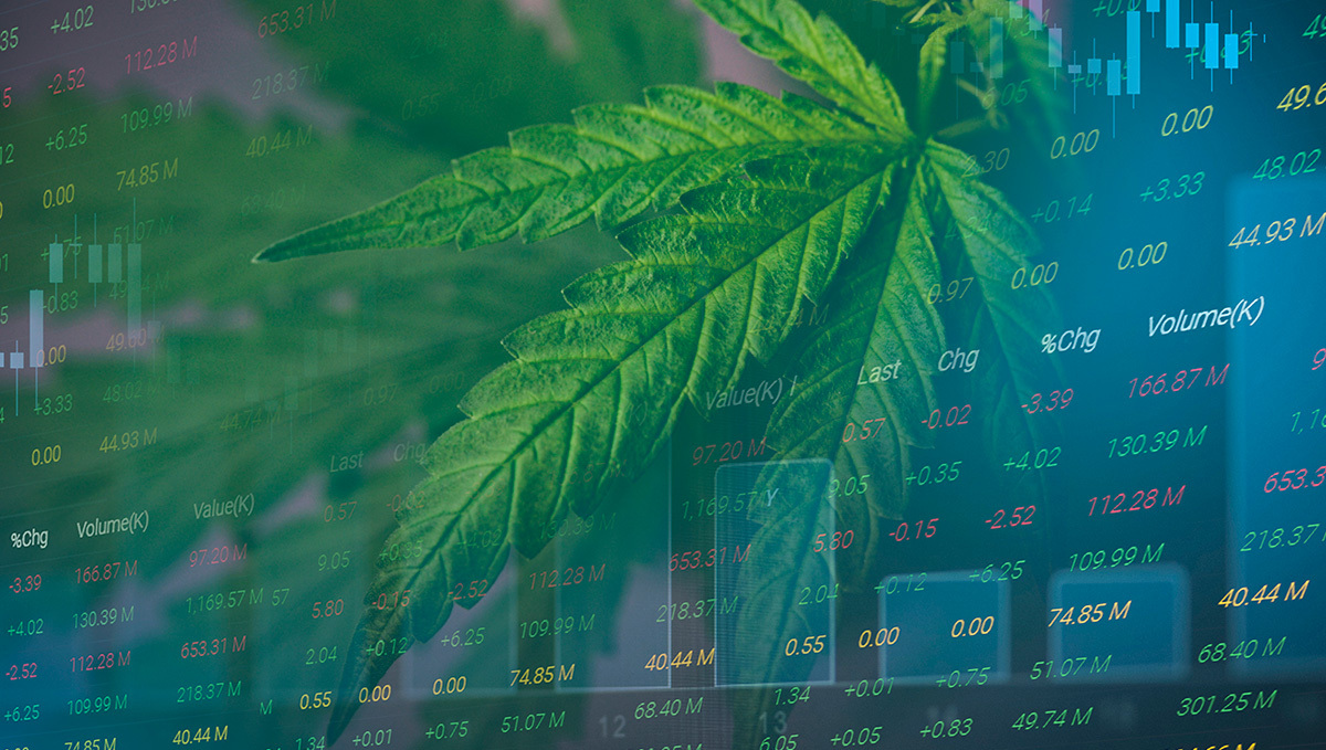 Legal Cannabis Accounts For $43.5B in Canada&rsquo;s GDP Since 2018: Marijuana leaf on the background of stock quotes