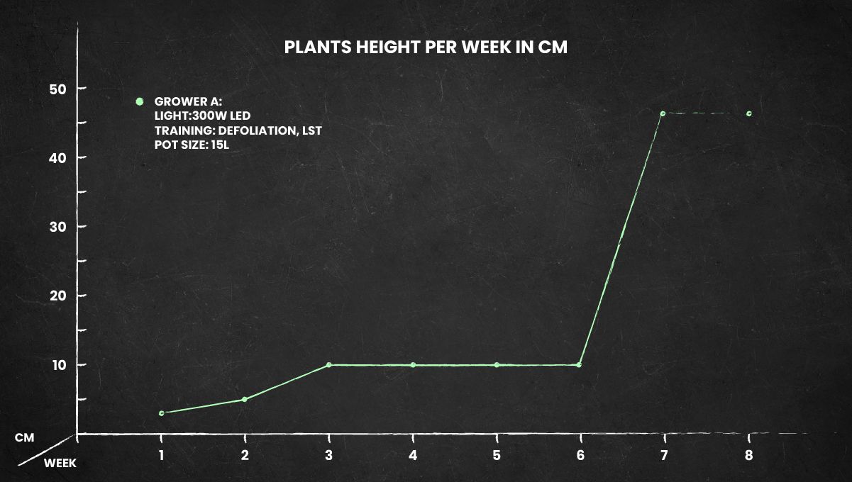 Stardawg Auto cannabis strain height chart