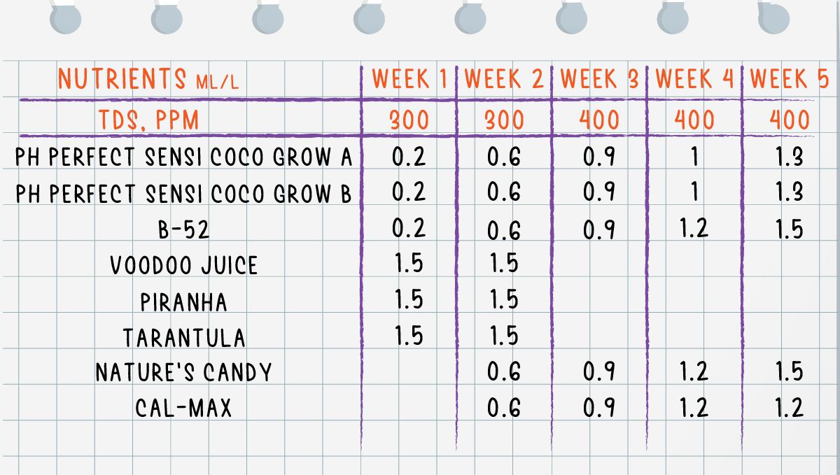 Forbidden Runtz Auto Plants Seed Week-by-Week Guide: The feeding schedule for the whole of the vegetative phase