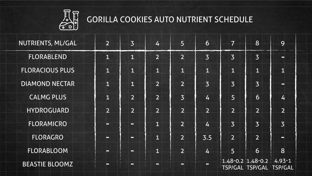 Gorilla Cookies Auto Plants Seed Week-by-Week Guide: Feeding schedule
