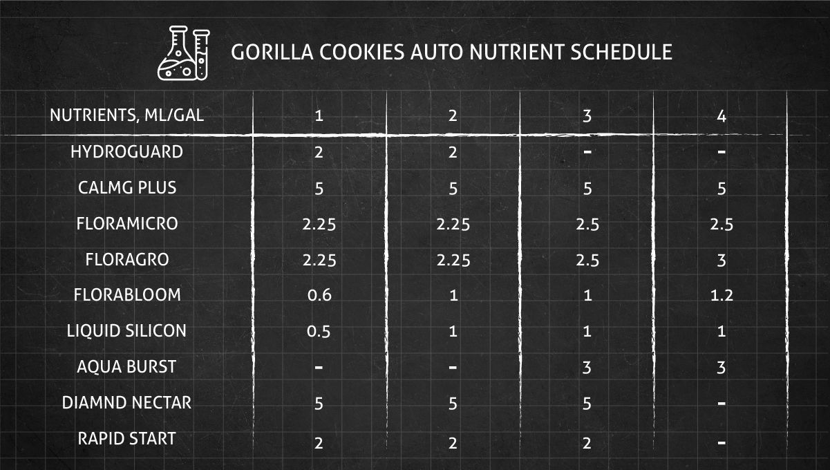 Gorilla Cookies Auto Plants Seed Week-by-Week Guide: Feeding chart