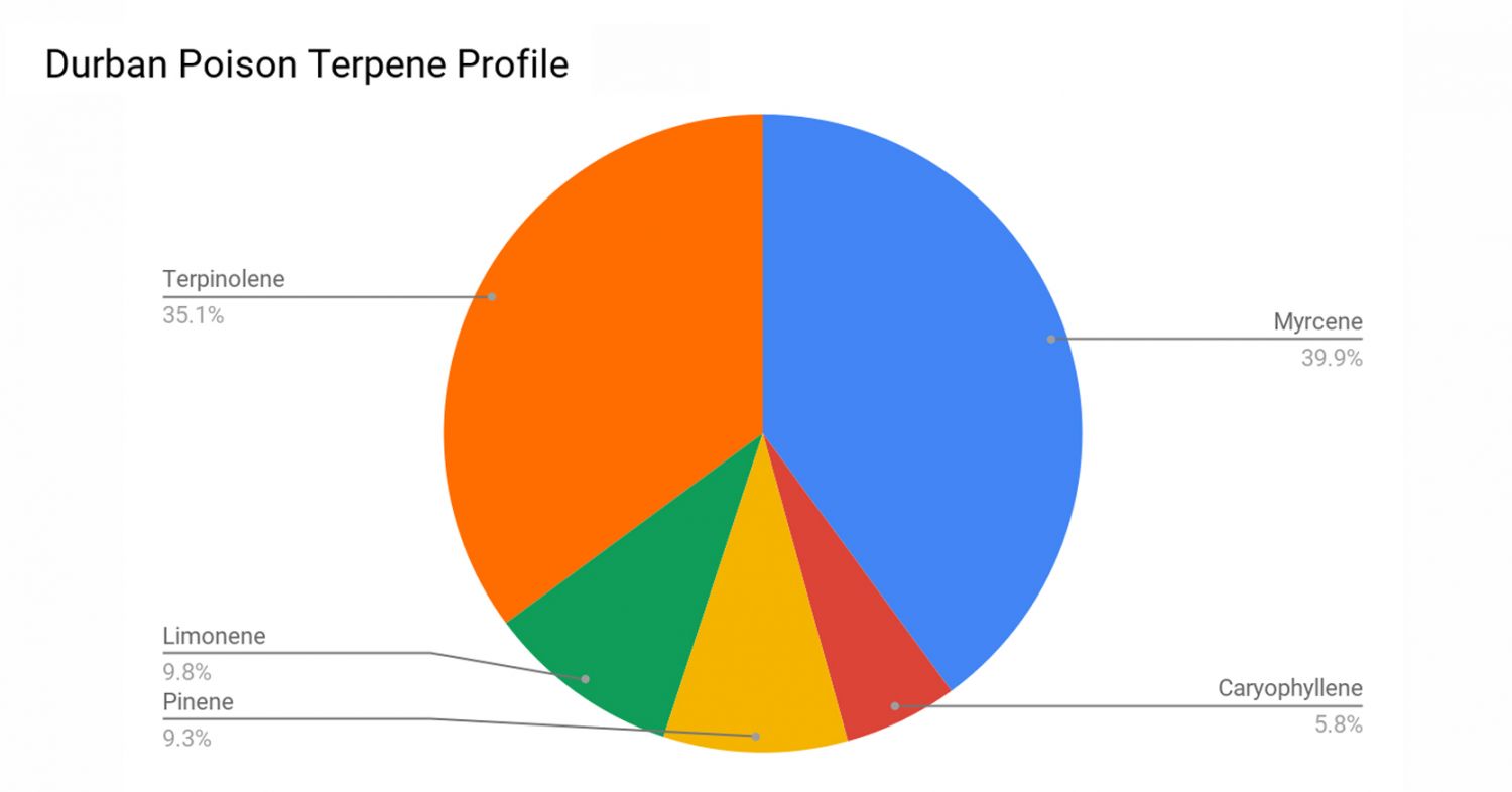 Durban poison week-by-week: flavorene profile