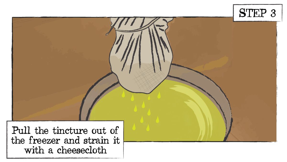 How to make plants sugar: step 3