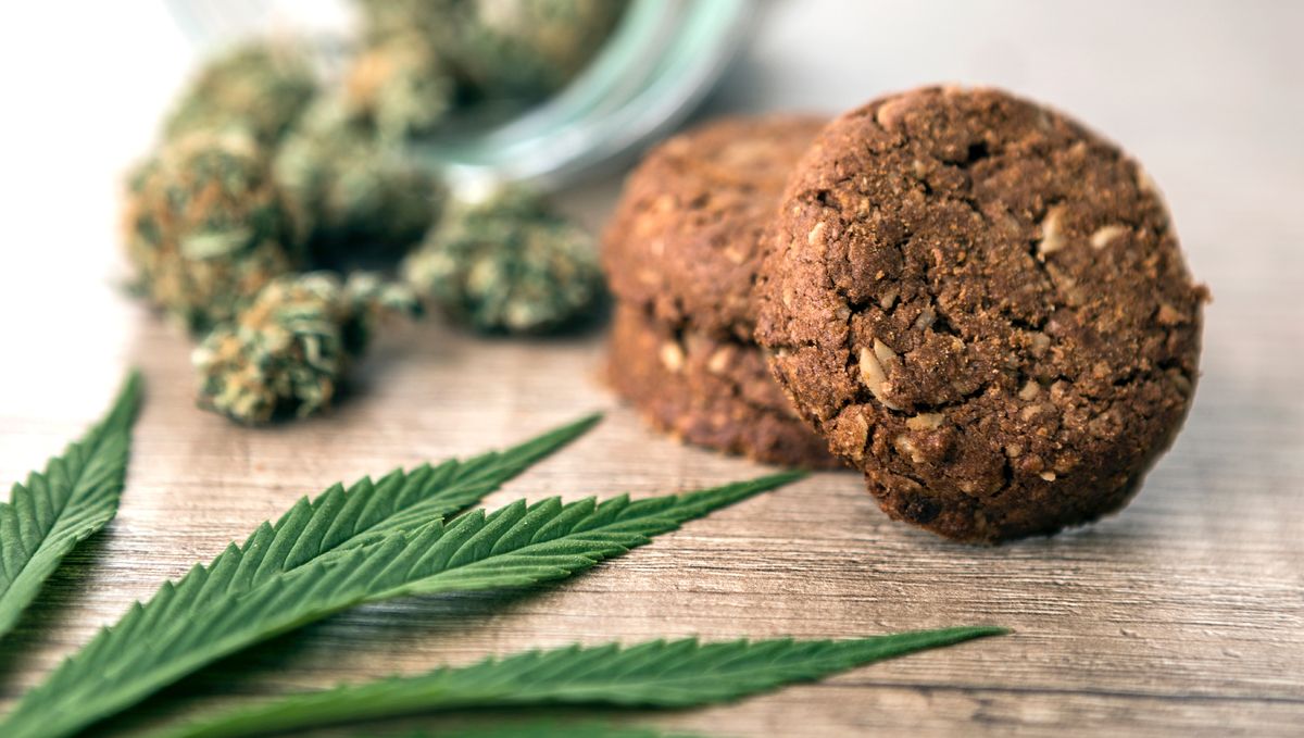 Syötävän kannabiksen huumaava vaikutus: syötävät