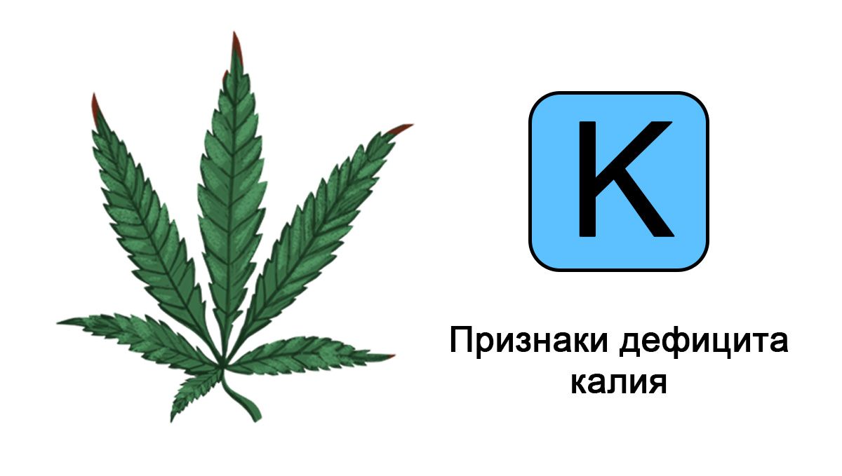 Дефицит калия