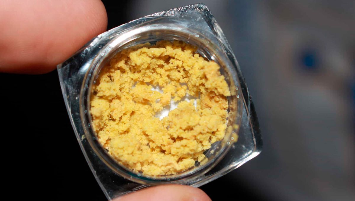 Cannabis Shatter: Mikä Se On, Miten Tehdä Ja Polttaa THC & CBD Hash Oilia: Lähikuva keltaisesta vahasta pienessä purkissa Cannabis Shatter: Mikä Se On, Miten Tehdä Ja Polttaa THC & CBD Hash Oilia: Lähikuva keltaisesta vahasta pienessä purkissa