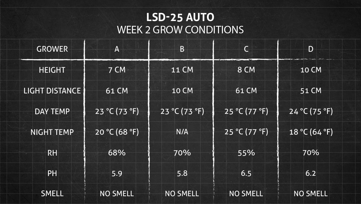 LSD-25 오토 대마초 스트레인: 2주차 재배 조건