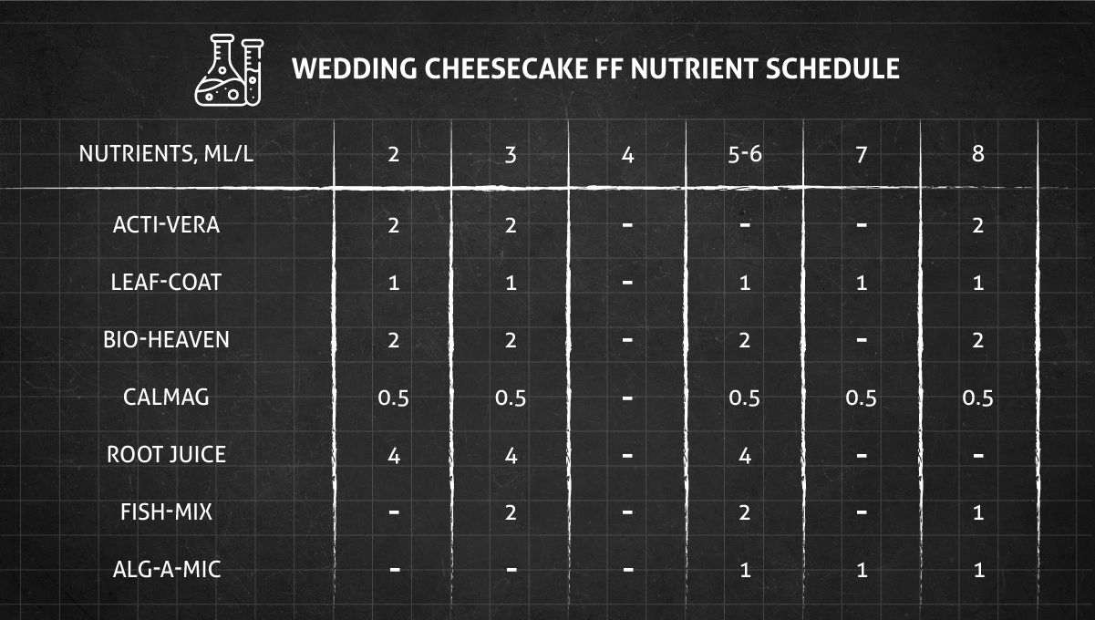 Wedding Cheesecake FF cannabis strain: veg nutrient schedule