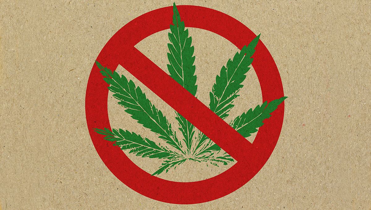 “marijuana”一词的起源：1937年是真正的转折点