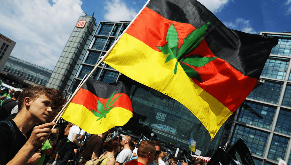 Plants in germany: history and politics