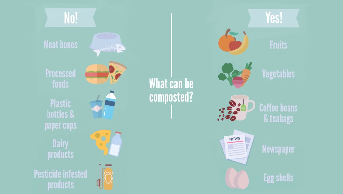 What to compost?