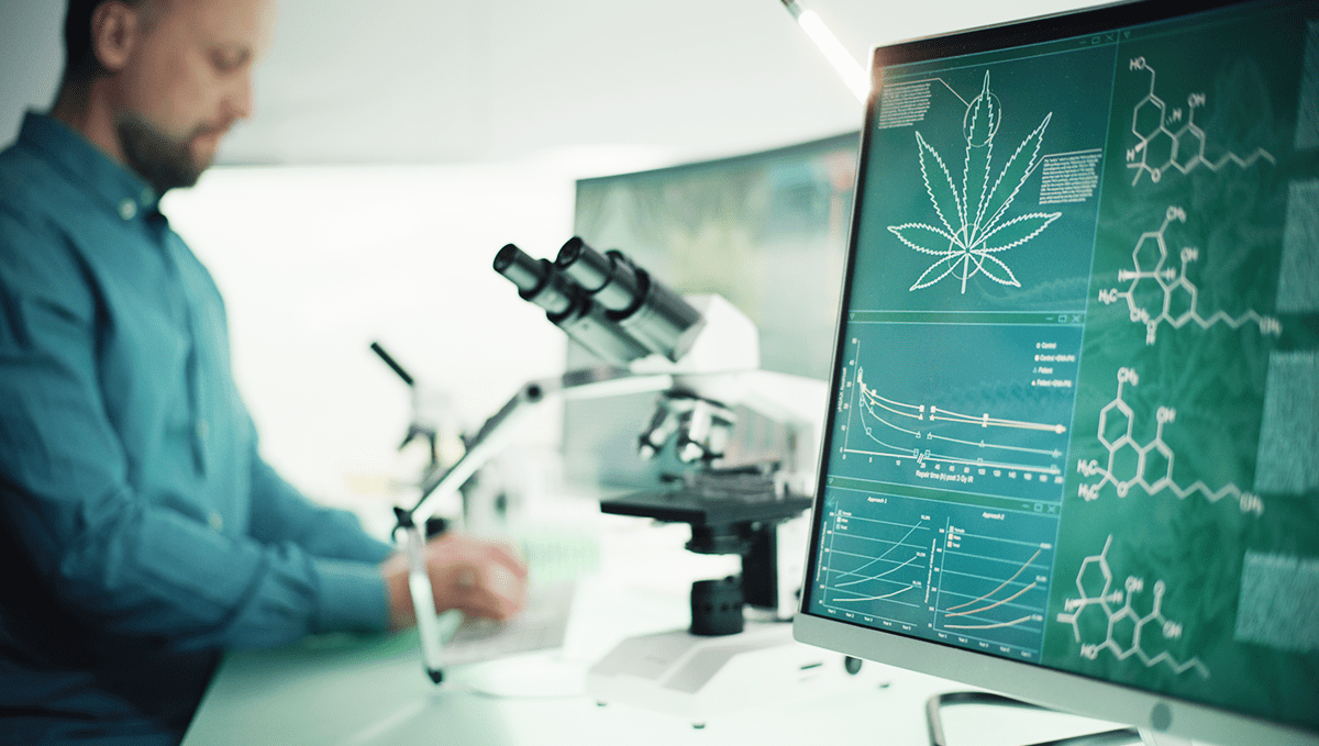 Plants in washington: medicinal plants