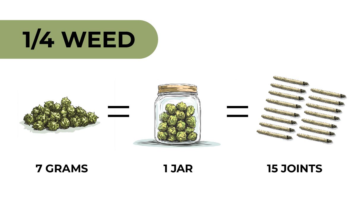 A Quarter of Plants: Understanding Plants Weights and Measurements: An infographic showing the highest number of joints you can roll with a Q