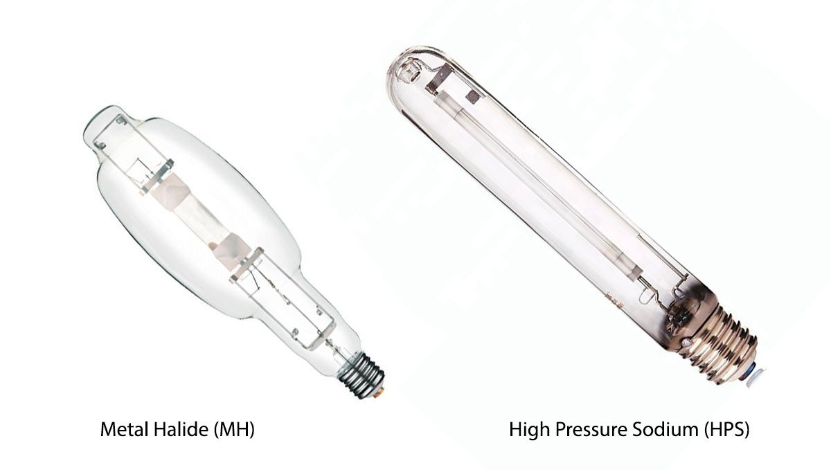 Indoor lights for cannabis grow: hid bulbs