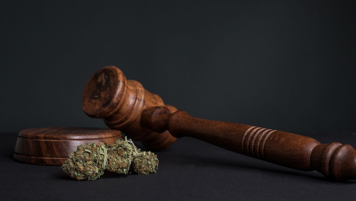 Plants in portugal: plants laws in portugal
