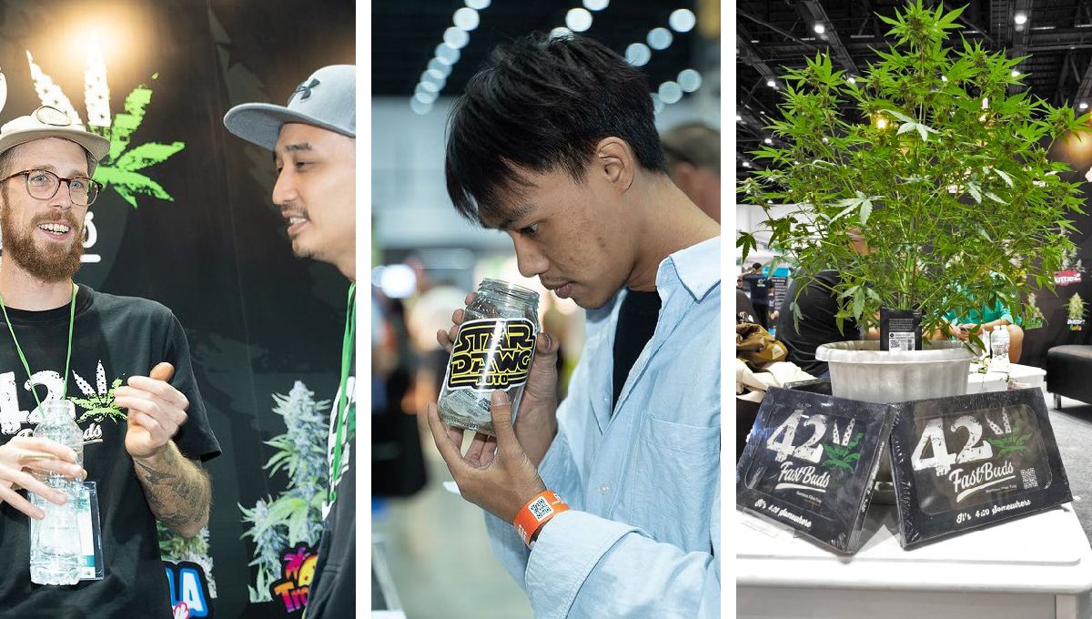 Asia International Hemp Expo: A One-of-a-Kind Experience