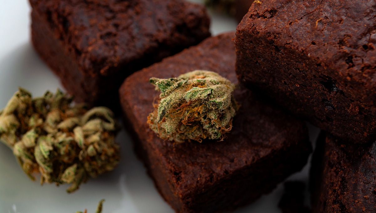 How To Make Plants Oil At Home: A Step-By-Step Guide: infused vegan chocolate fudge