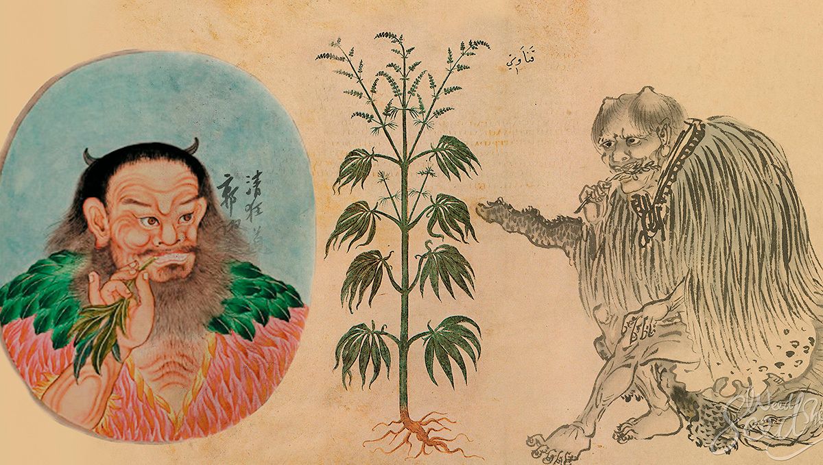 Plants und Kaffee: die Geschichte von Plants und Kaffee