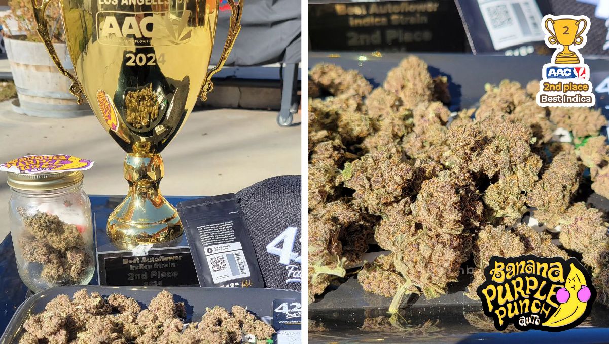 Ztrawberriez Auto and Banana Purple Punch Auto Win The American Auto Cup 2024!