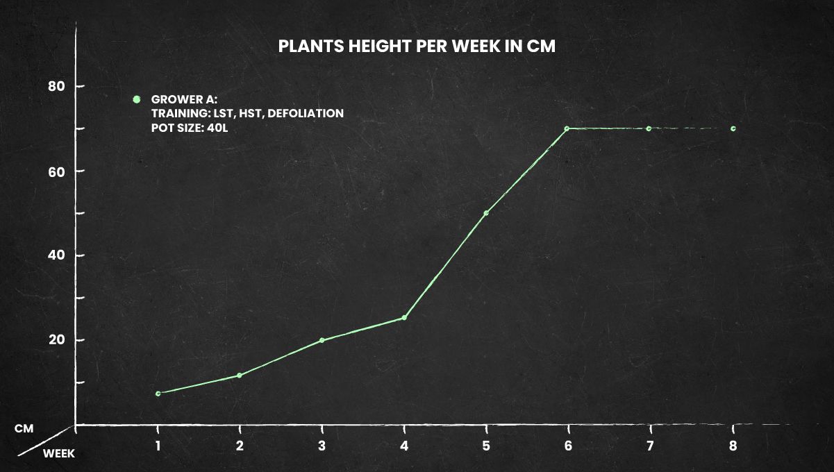 Strawberry Banana Auto height chart