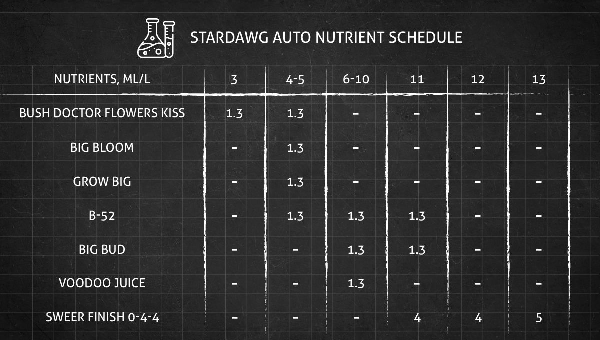 Stardawg Auto cannabis strain: feeding chart for the vegetative and flowering stages