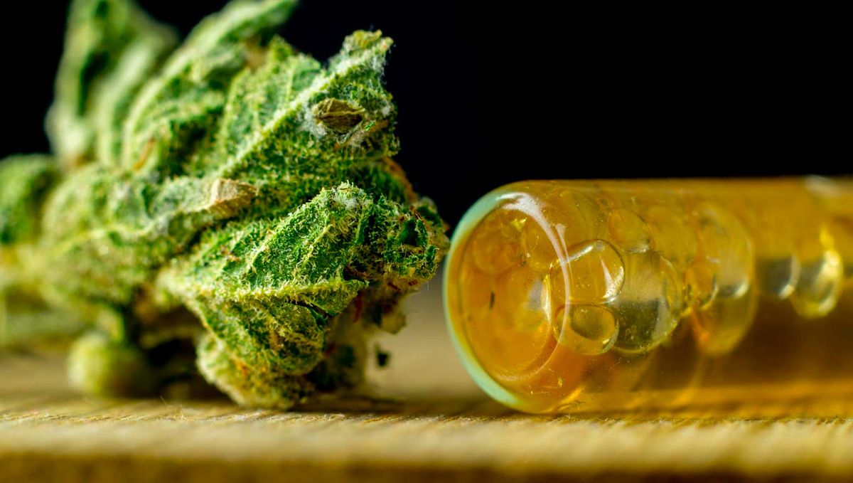 Extraction de concentrés de cannabis, préservant les arômes et les bienfaits.