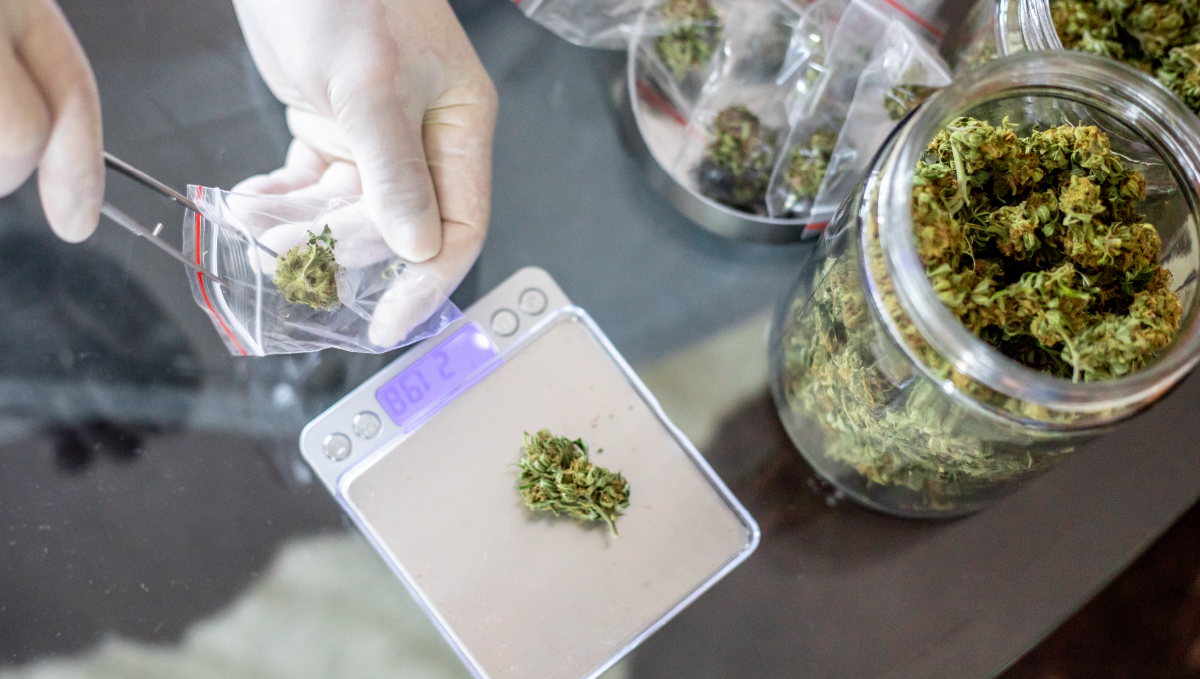 ルイジアナ州で医療用大麻の喫煙が合法化：乾燥した大麻の花が詰まった瓶と、手袋をした手が小型スケールでバッズを計量している様子