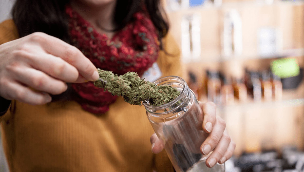 Weed in lebanon: politics