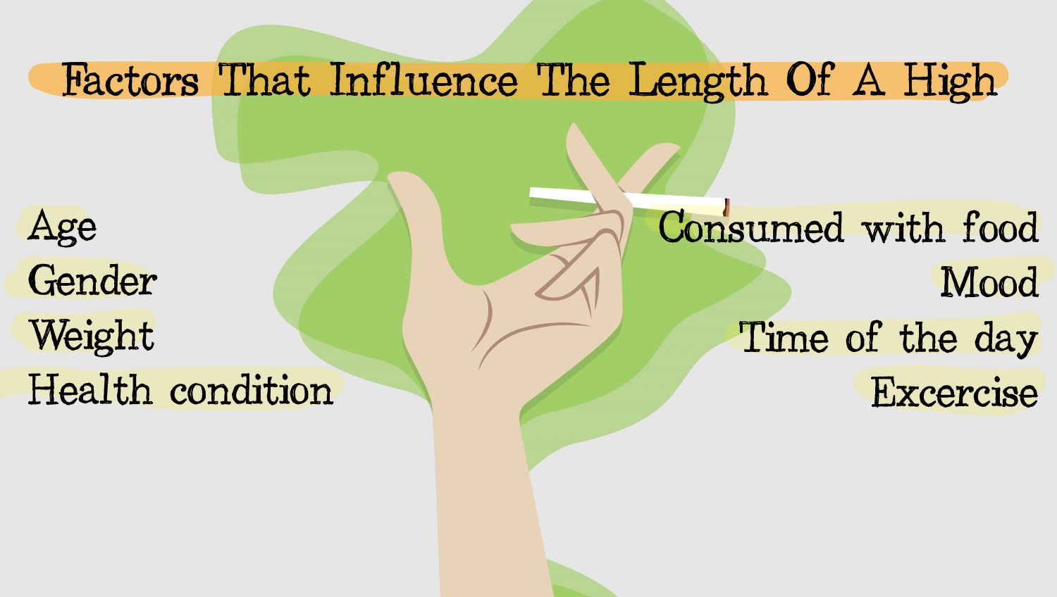 How Long Does a Weed High Last & What are the Effects of Cannabis: An infographic showing the factors that influence the length of high