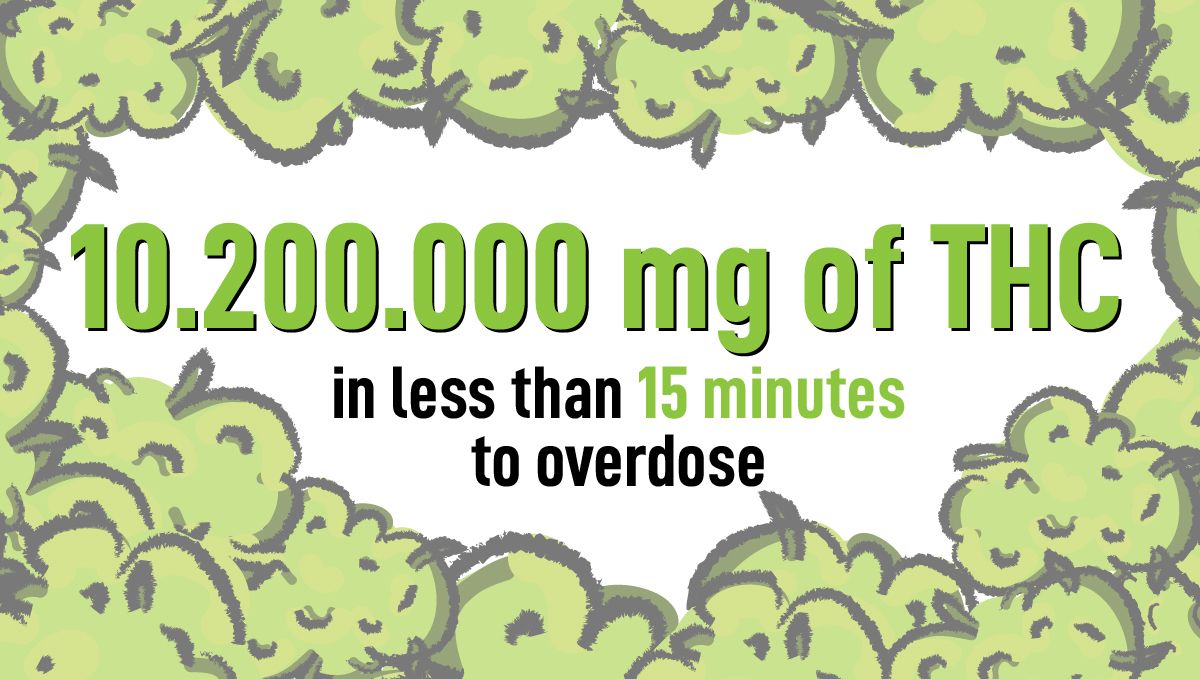 Can marijuana kill you?: can you overdose from cannabis?