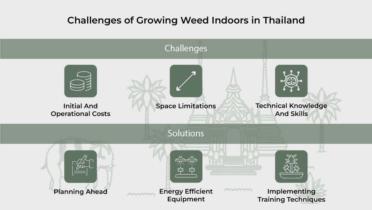 Challenges of growing plants Indoors in Thailand.