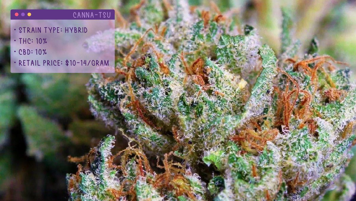 Best Weed Strains for Anxiety: Canna-Tsu