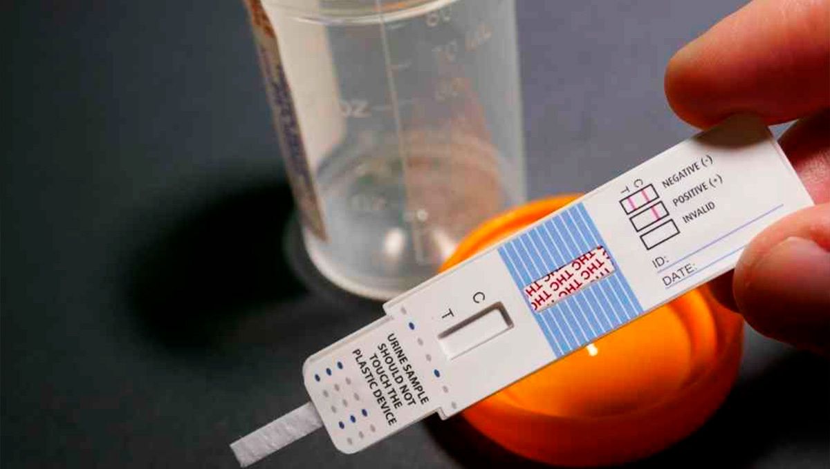Si të kaloni testet e drogës: kuptoni testet