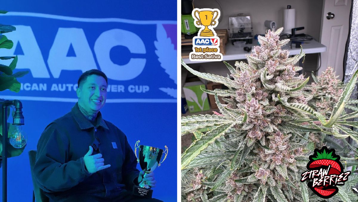 Ztrawberriez Auto and Banana Purple Punch Auto Win The American Auto Cup 2024!