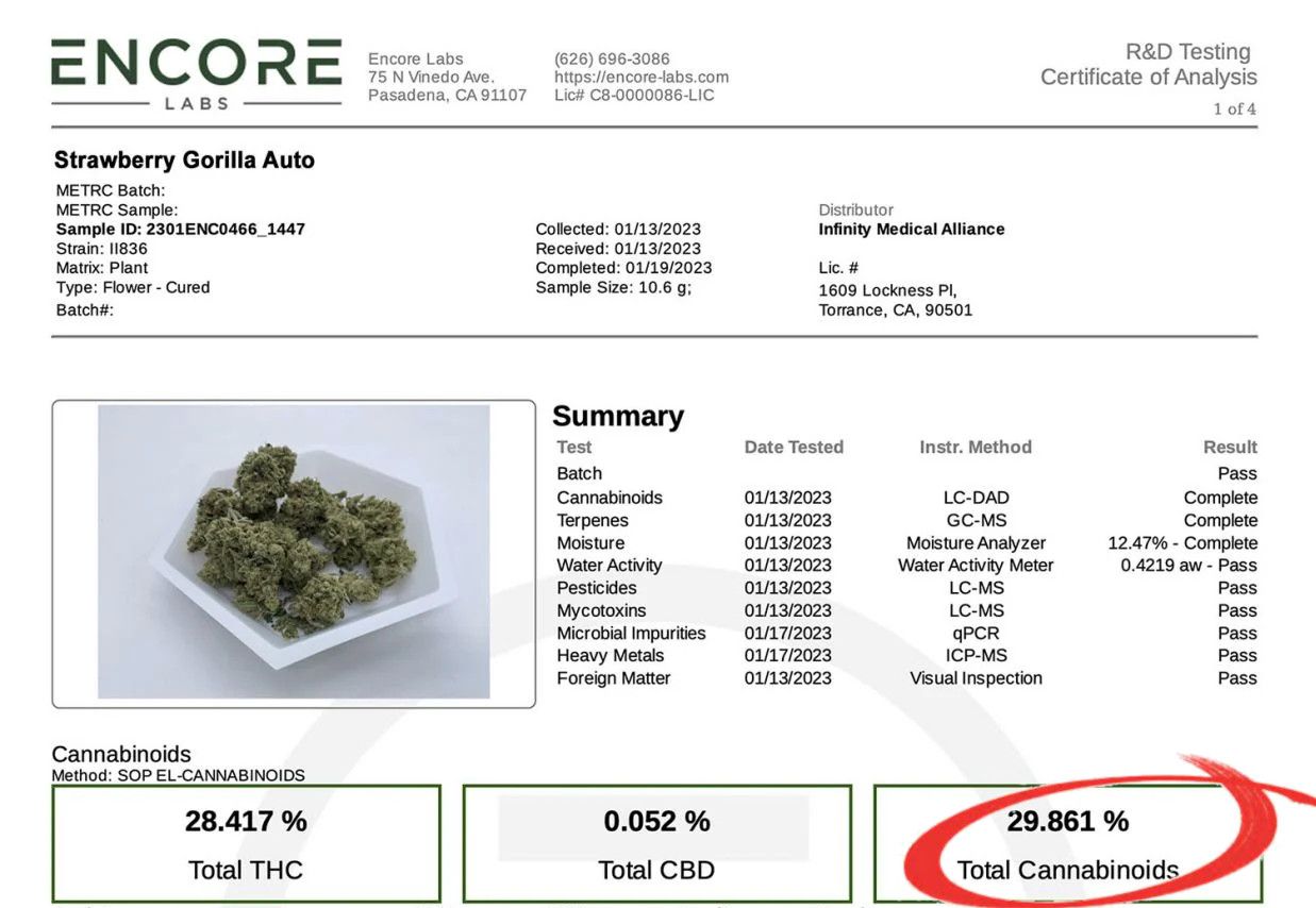 Strawberry Gorilla Auto Cannabissorte: Laborzertifikat