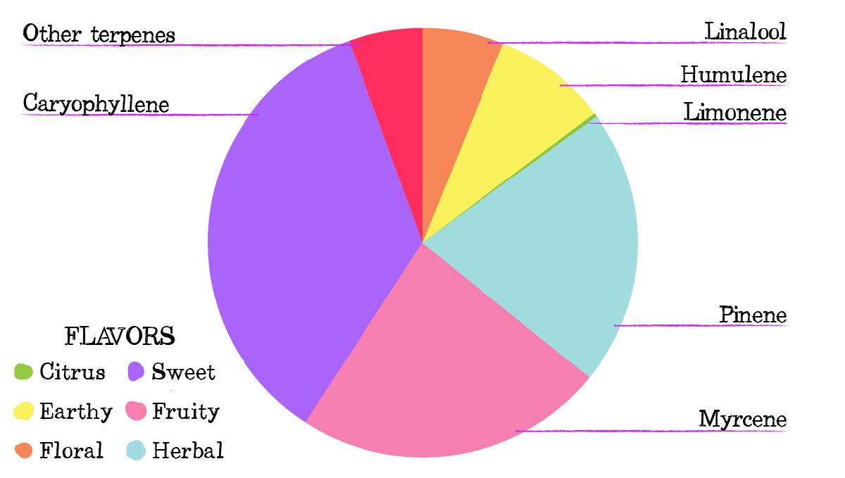 Blueberry auto week-by-week guide: terpene profile