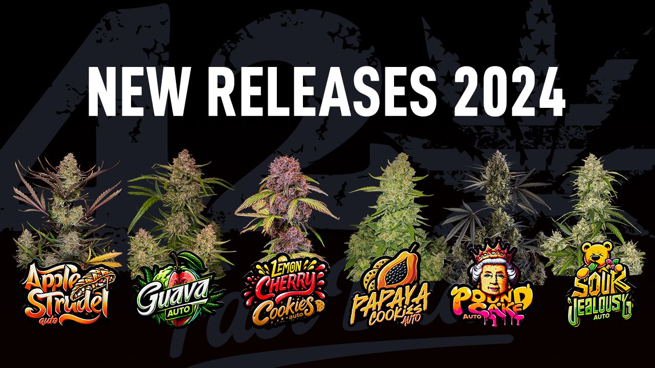 Find our brand new strains at Spannabis 2024.