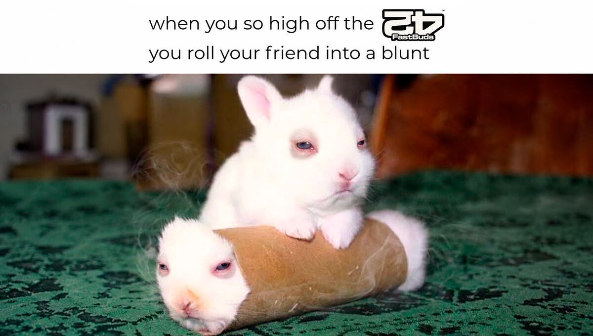 Discord meme
