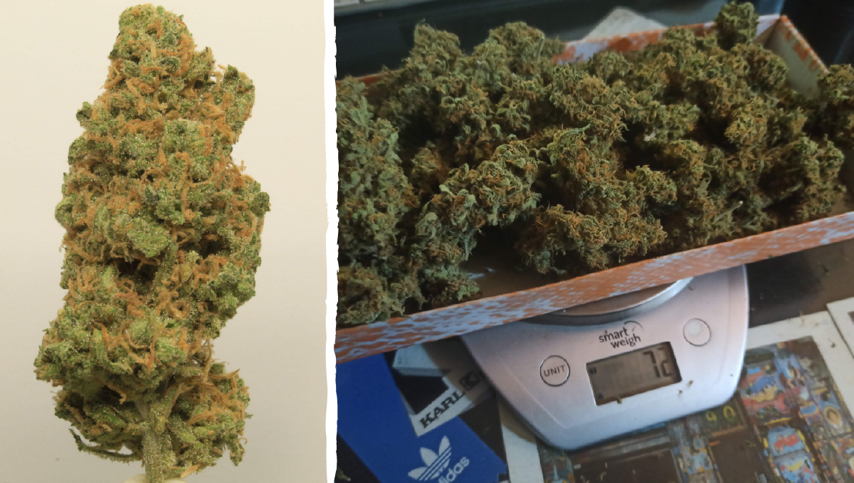 Trainwreck auto week-by-week: type of effect