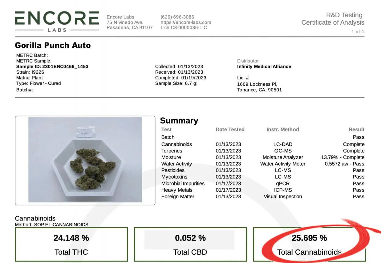 Gorilla Punch Auto 大麻品种：实验室检测报告