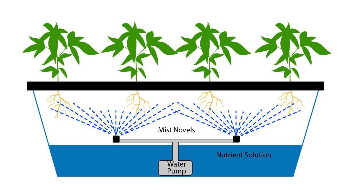 How to grow auto plants plants in hydroponics: Aeroponics